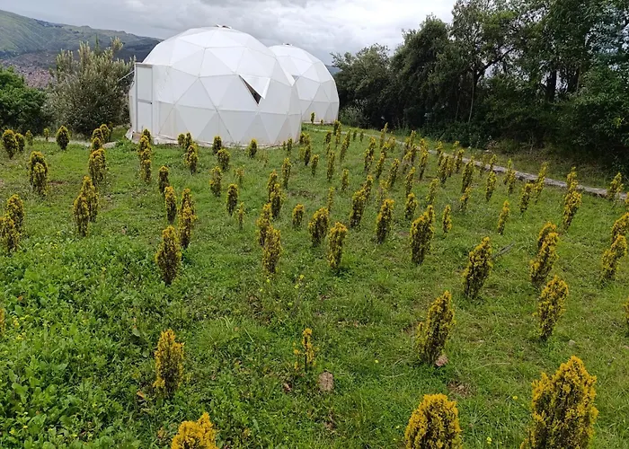 Domos Glamping & Nature Hotel